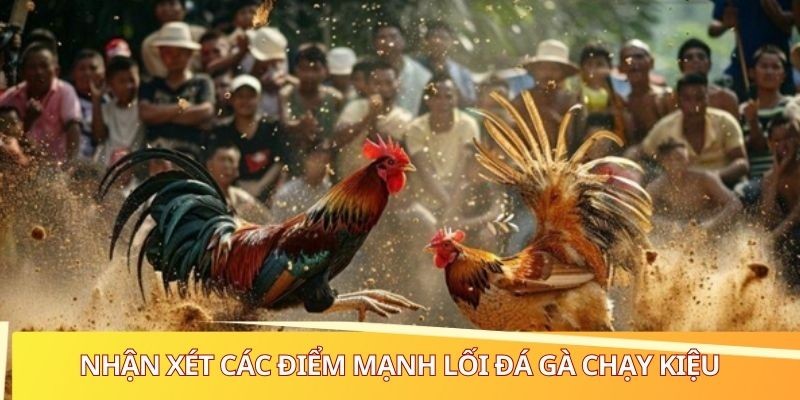 Điểm nổi bật của giống kê chạy kiệu