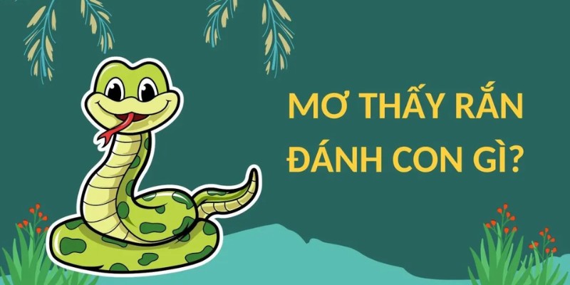 Mơ thấy rắn đuổi thì nên đánh con số nào?
