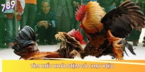 gà chạy kiệu