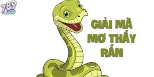 nằm mơ thấy rắn đuổi