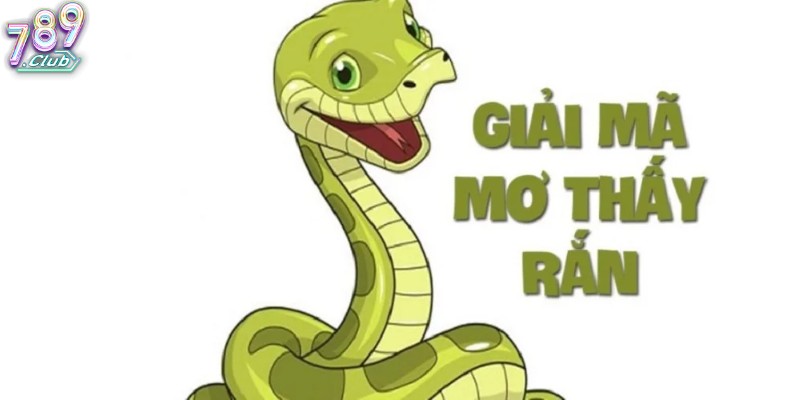 nằm mơ thấy rắn đuổi