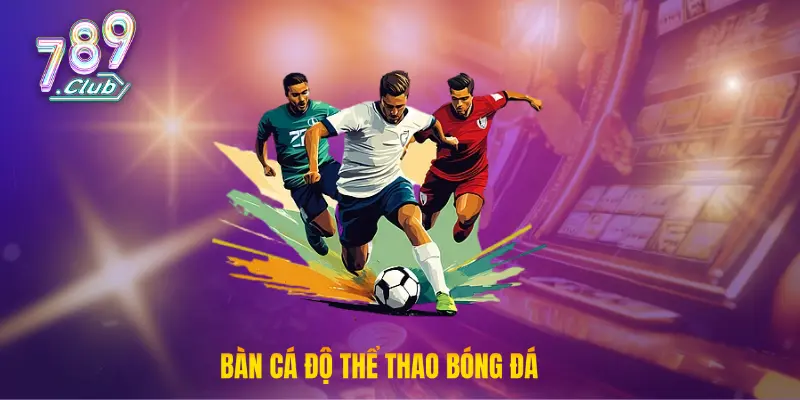 Bàn cá độ thể thao bóng đá