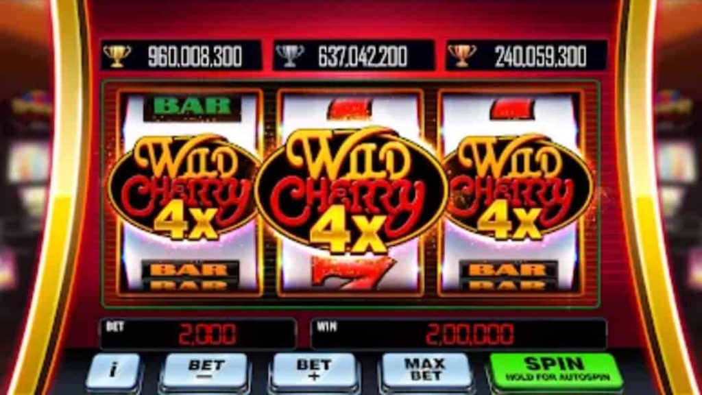 rich casino